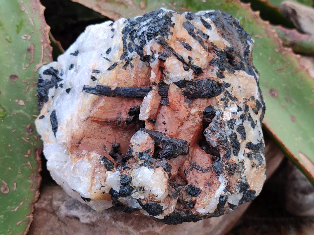 Natural Black Tourmaline in Quartz x 3 From Zimbabwe - Toprock Gemstones and Minerals 