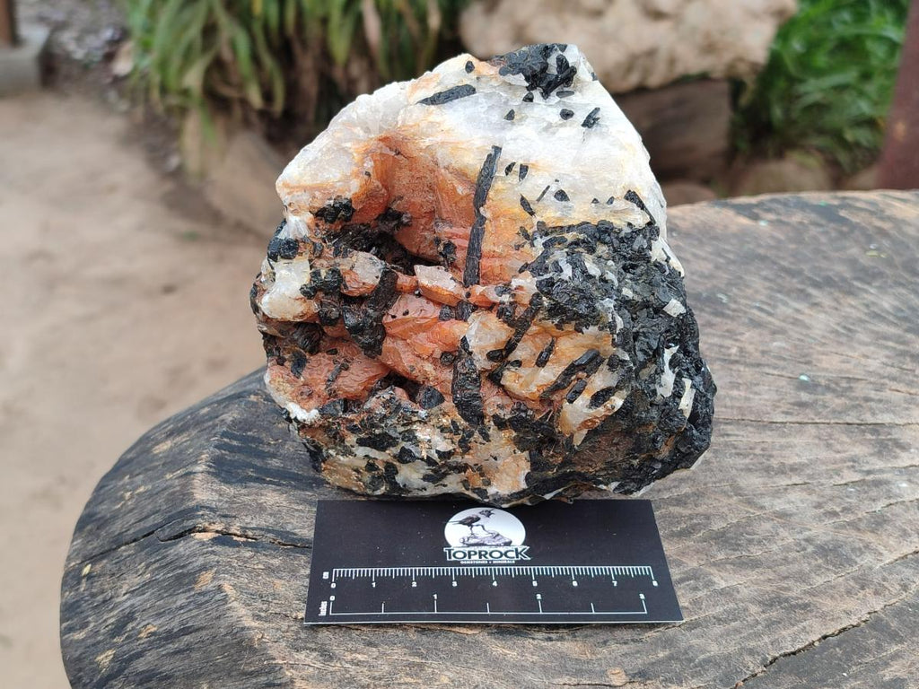 Natural Black Tourmaline in Quartz x 3 From Zimbabwe - Toprock Gemstones and Minerals 