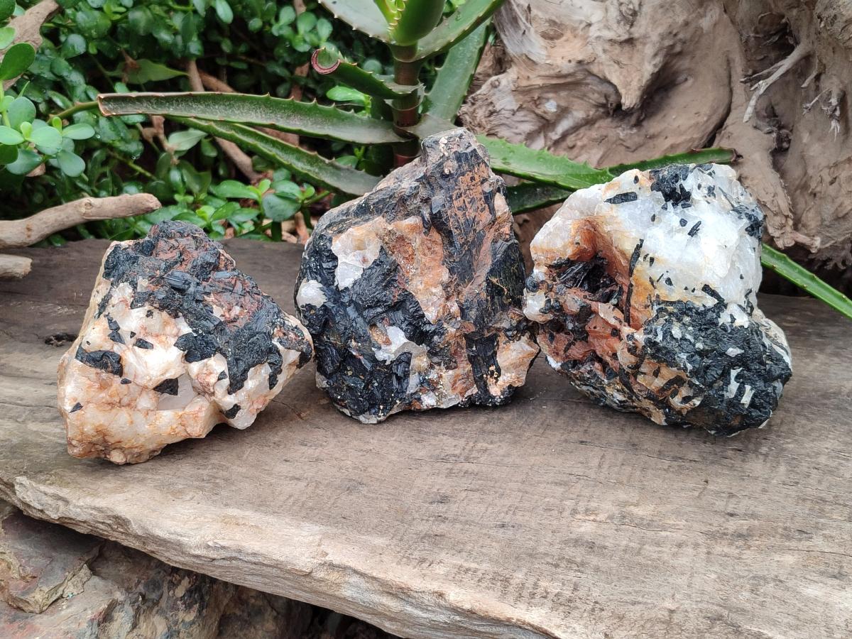 Natural Black Tourmaline in Quartz x 3 From Zimbabwe - Toprock Gemstones and Minerals 