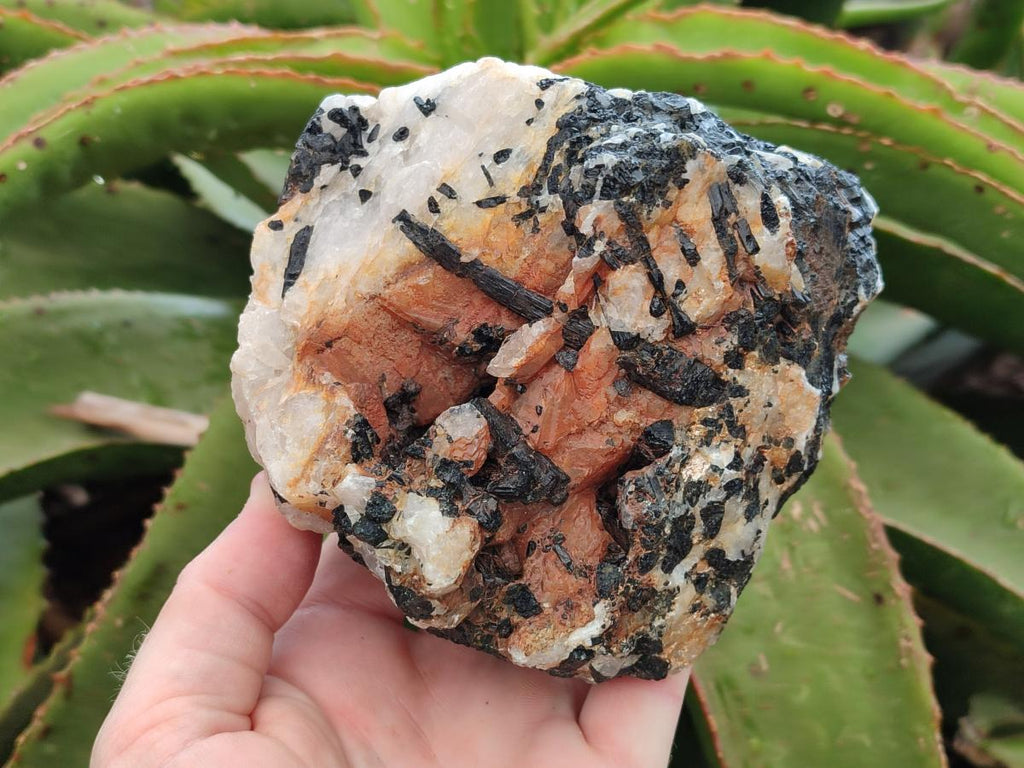 Natural Black Tourmaline in Quartz x 3 From Zimbabwe - Toprock Gemstones and Minerals 