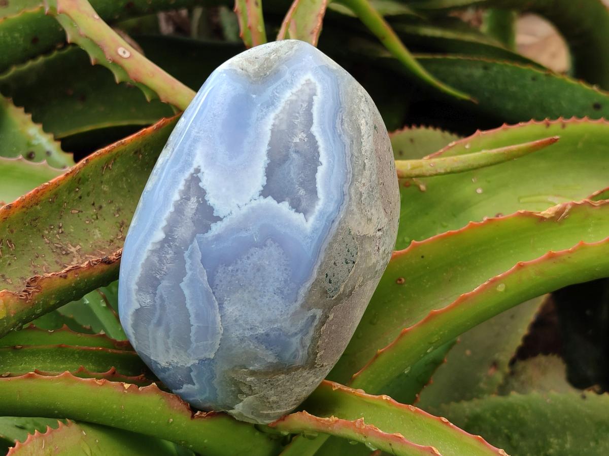 Polished Blue Lace Agate Standing Free Forms x 2 From Nsanje, Malawi - Toprock Gemstones and Minerals 