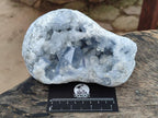 Natural Large Blue Celestite Geode Specimen x 1 From Sakoany, Madagascar