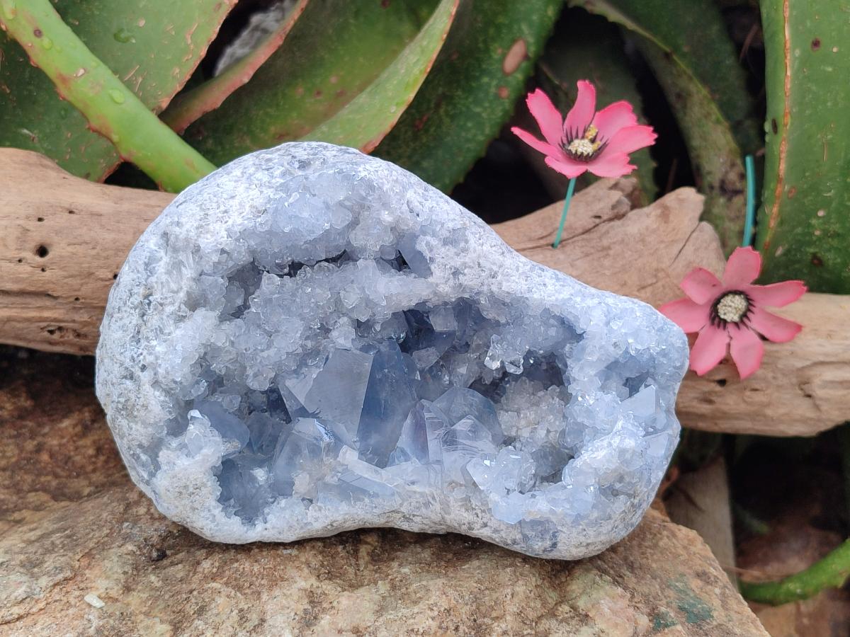 Natural Large Blue Celestite Geode Specimen x 1 From Sakoany, Madagascar