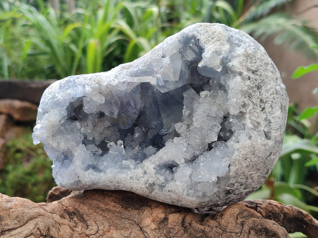 Natural Large Blue Celestite Geode Specimen x 1 From Sakoany, Madagascar