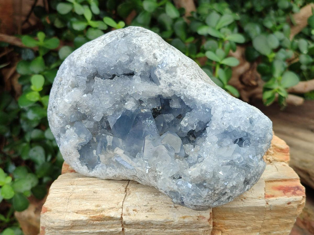 Natural Large Blue Celestite Geode Specimen x 1 From Sakoany, Madagascar