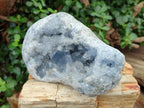 Natural Large Blue Celestite Geode Specimen x 1 From Sakoany, Madagascar