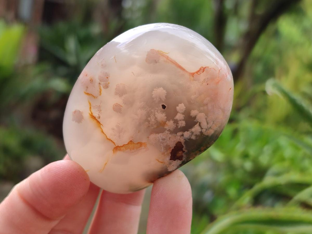 Polished Flower Agate Palm Stones x 12 From Antsahalova, Madagascar - Toprock Gemstones and Minerals 