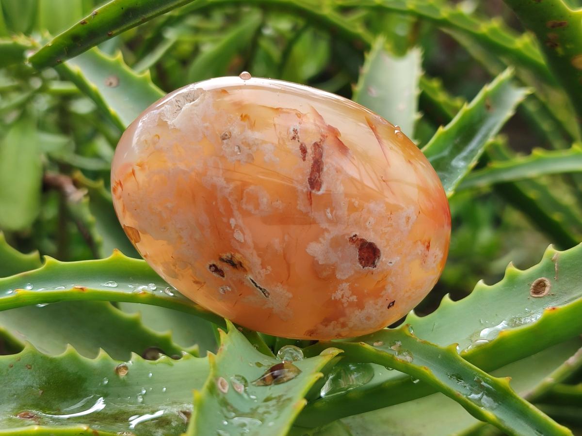Polished Flower Agate Palm Stones x 12 From Antsahalova, Madagascar - Toprock Gemstones and Minerals 