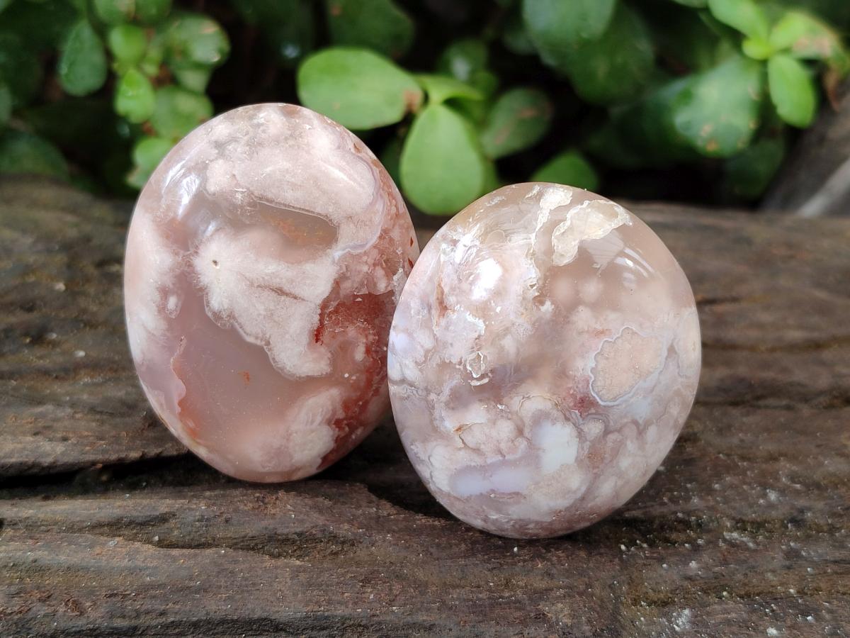 Polished Flower Agate Palm Stones x 12 From Antsahalova, Madagascar - Toprock Gemstones and Minerals 