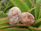 Polished Flower Agate Palm Stones x 12 From Antsahalova, Madagascar - Toprock Gemstones and Minerals 
