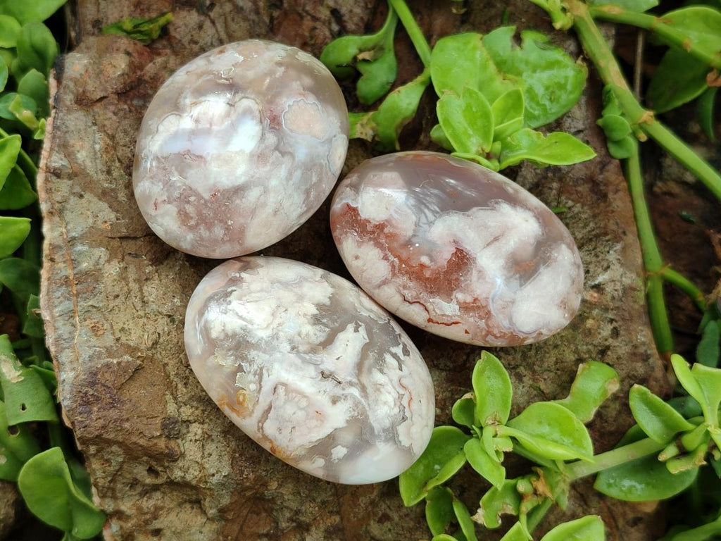 Polished Flower Agate Palm Stones x 12 From Antsahalova, Madagascar - Toprock Gemstones and Minerals 
