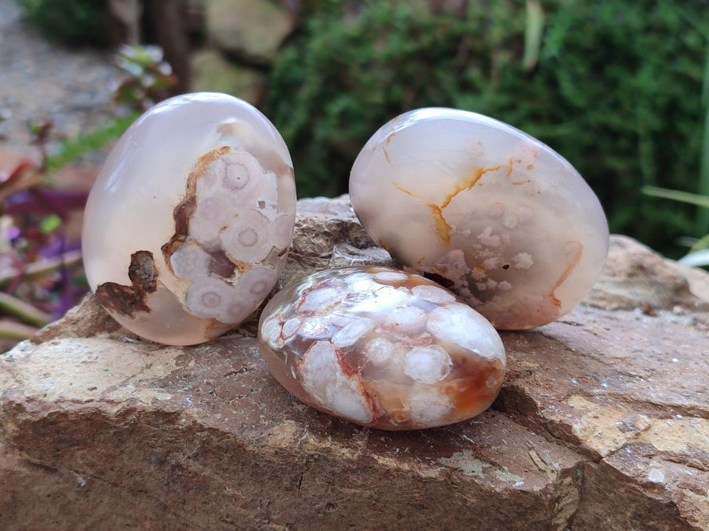 Polished Flower Agate Palm Stones x 12 From Antsahalova, Madagascar - Toprock Gemstones and Minerals 