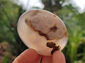 Polished Flower Agate Palm Stones x 12 From Antsahalova, Madagascar - Toprock Gemstones and Minerals 