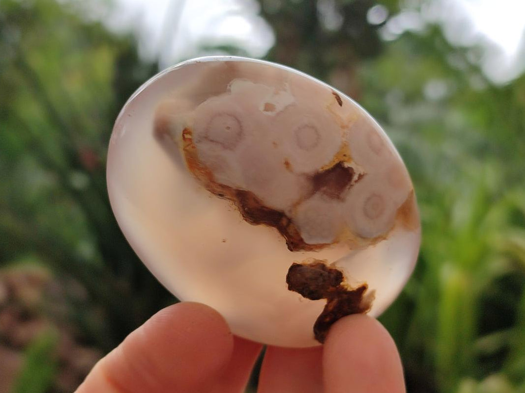 Polished Flower Agate Palm Stones x 12 From Antsahalova, Madagascar - Toprock Gemstones and Minerals 