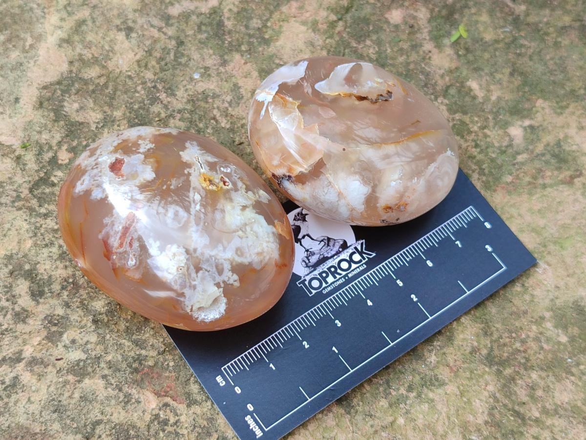 Polished Flower Agate Palm Stones x 12 From Antsahalova, Madagascar - Toprock Gemstones and Minerals 