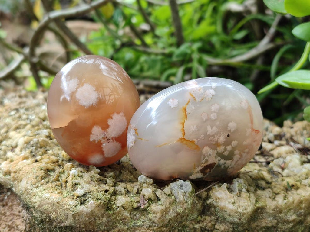 Polished Flower Agate Palm Stones x 12 From Antsahalova, Madagascar - Toprock Gemstones and Minerals 