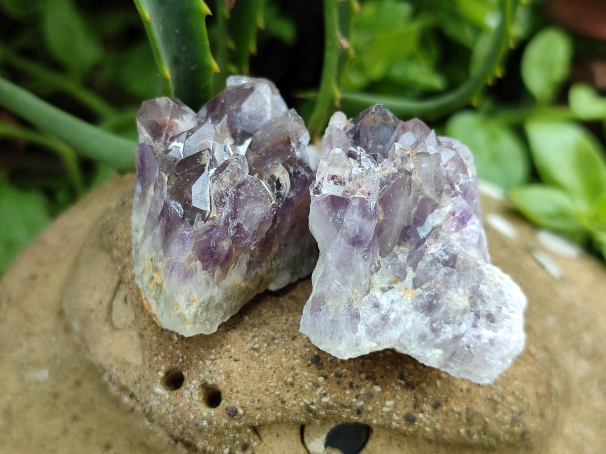 Natural Rare Amethyst Asylum Quartz Clusters x 35 From Luena, Congo