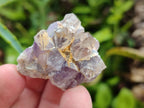 Natural Rare Amethyst Asylum Quartz Clusters x 35 From Luena, Congo