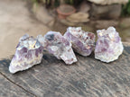 Natural Rare Amethyst Asylum Quartz Clusters x 35 From Luena, Congo