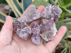 Natural Rare Amethyst Asylum Quartz Clusters x 35 From Luena, Congo