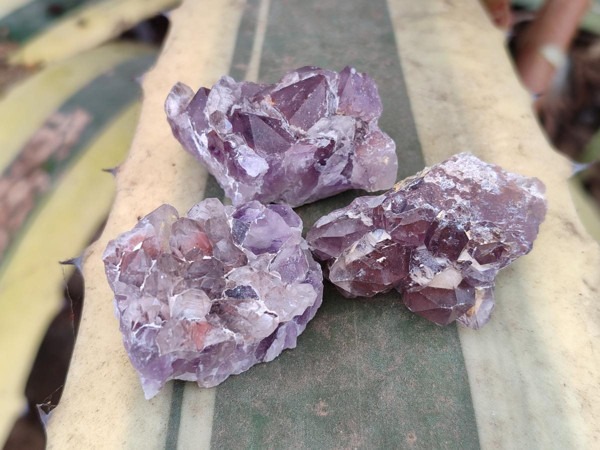Natural Rare Amethyst Asylum Quartz Clusters x 35 From Luena, Congo