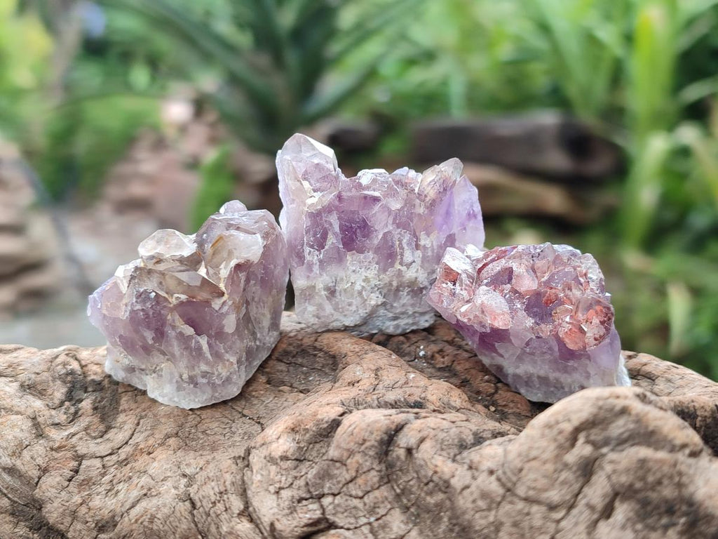 Natural Rare Amethyst Asylum Quartz Clusters x 35 From Luena, Congo