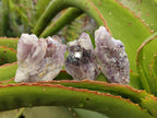 Natural Rare Amethyst Asylum Quartz Clusters x 35 From Luena, Congo