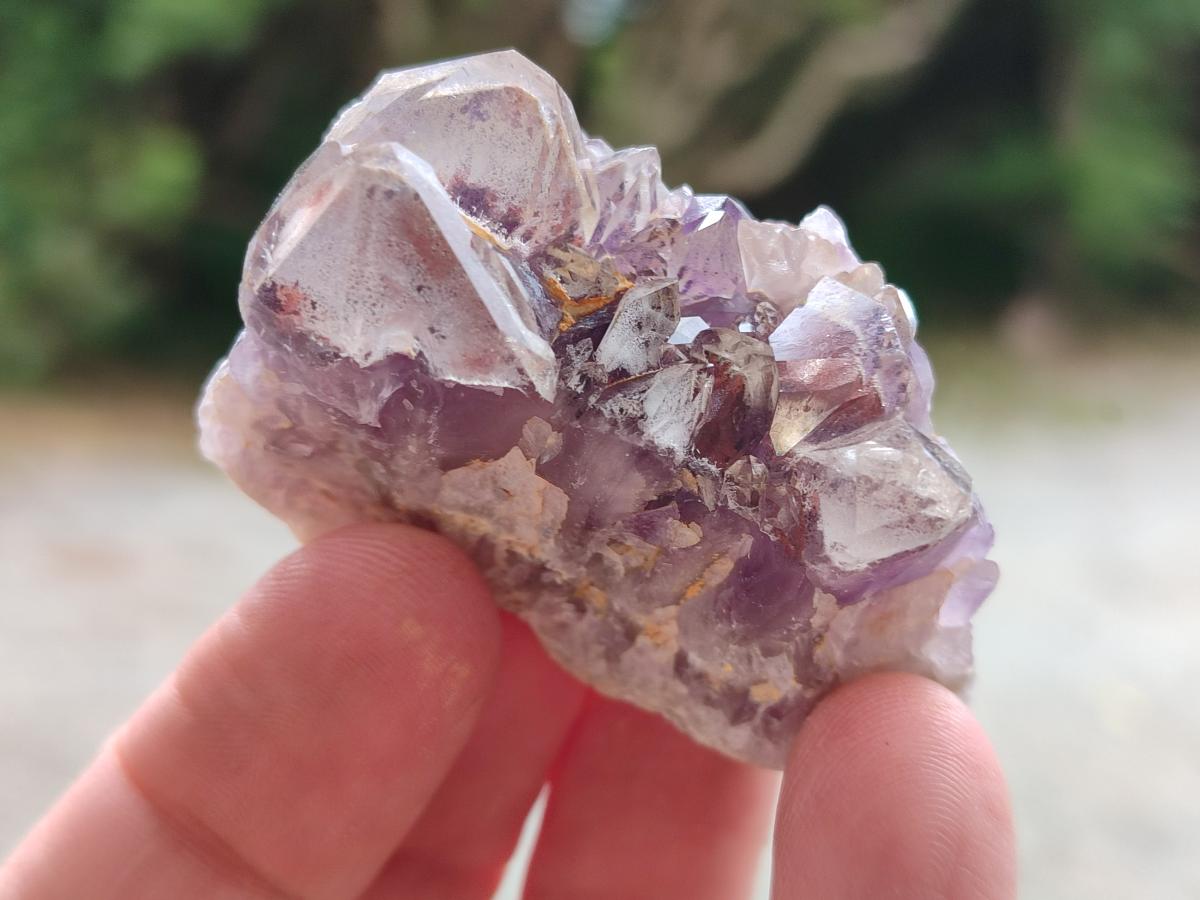 Natural Rare Amethyst Asylum Quartz Clusters x 35 From Luena, Congo