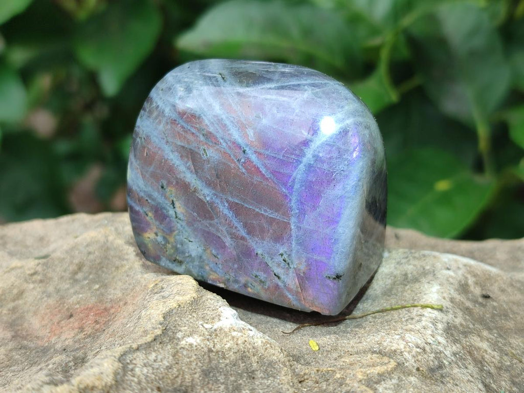 Polished Rare Purple Sunset Flash Labradorite Standing Free Forms x 7 From Madagascar - Toprock Gemstones and Minerals 