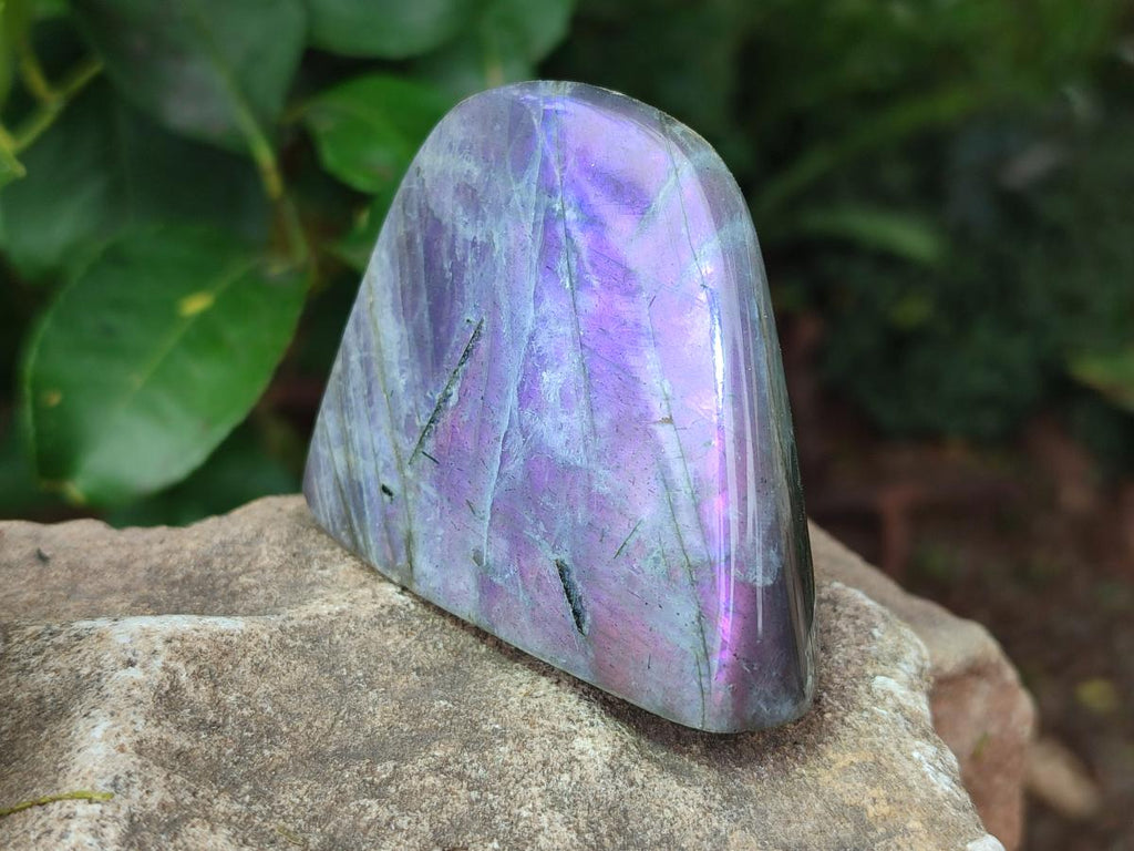 Polished Rare Purple Sunset Flash Labradorite Standing Free Forms x 7 From Madagascar - Toprock Gemstones and Minerals 