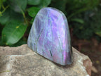 Polished Rare Purple Sunset Flash Labradorite Standing Free Forms x 7 From Madagascar - Toprock Gemstones and Minerals 