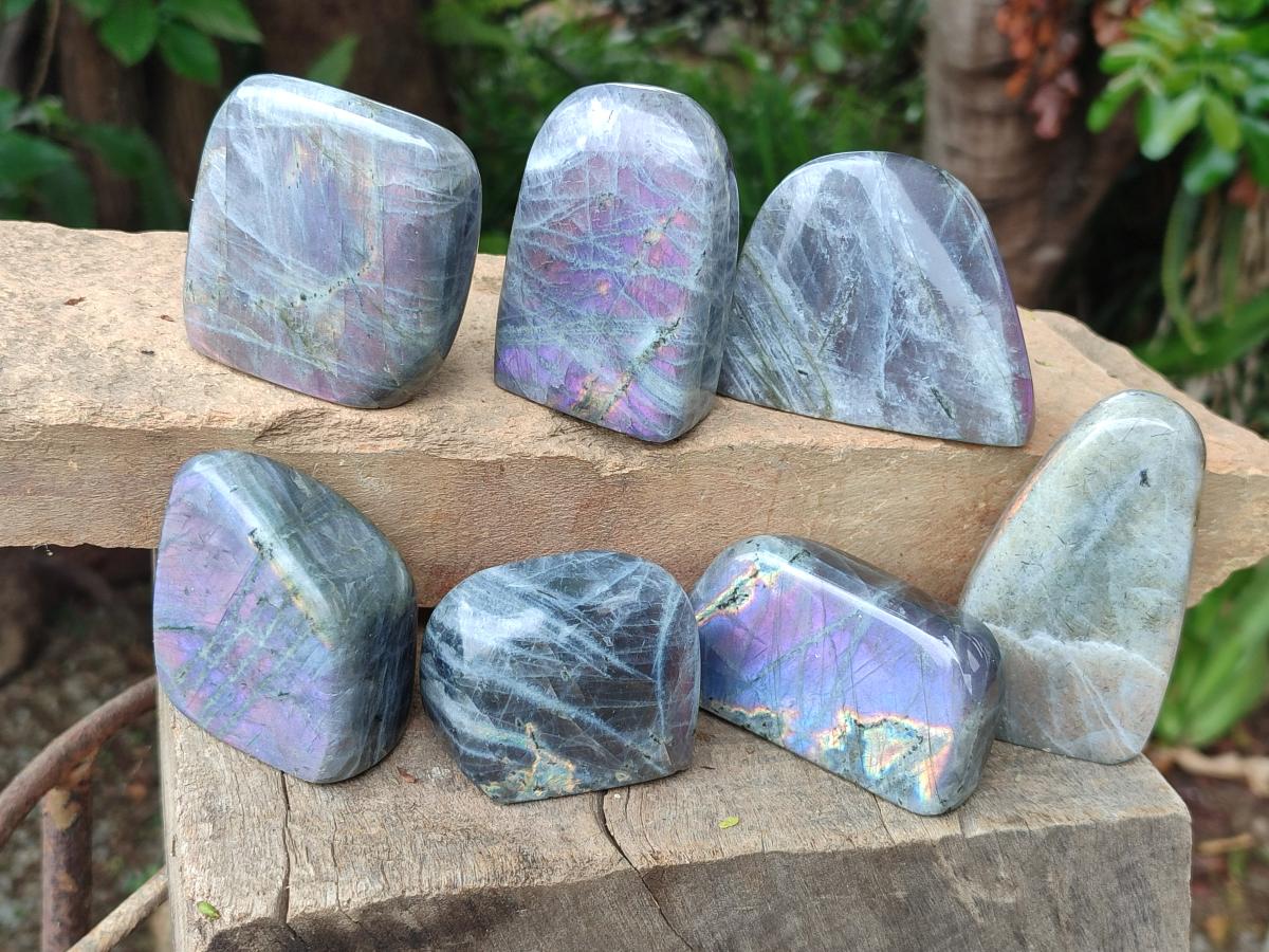 Polished Rare Purple Sunset Flash Labradorite Standing Free Forms x 7 From Madagascar - Toprock Gemstones and Minerals 