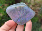 Polished Rare Purple Sunset Flash Labradorite Standing Free Forms x 7 From Madagascar - Toprock Gemstones and Minerals 