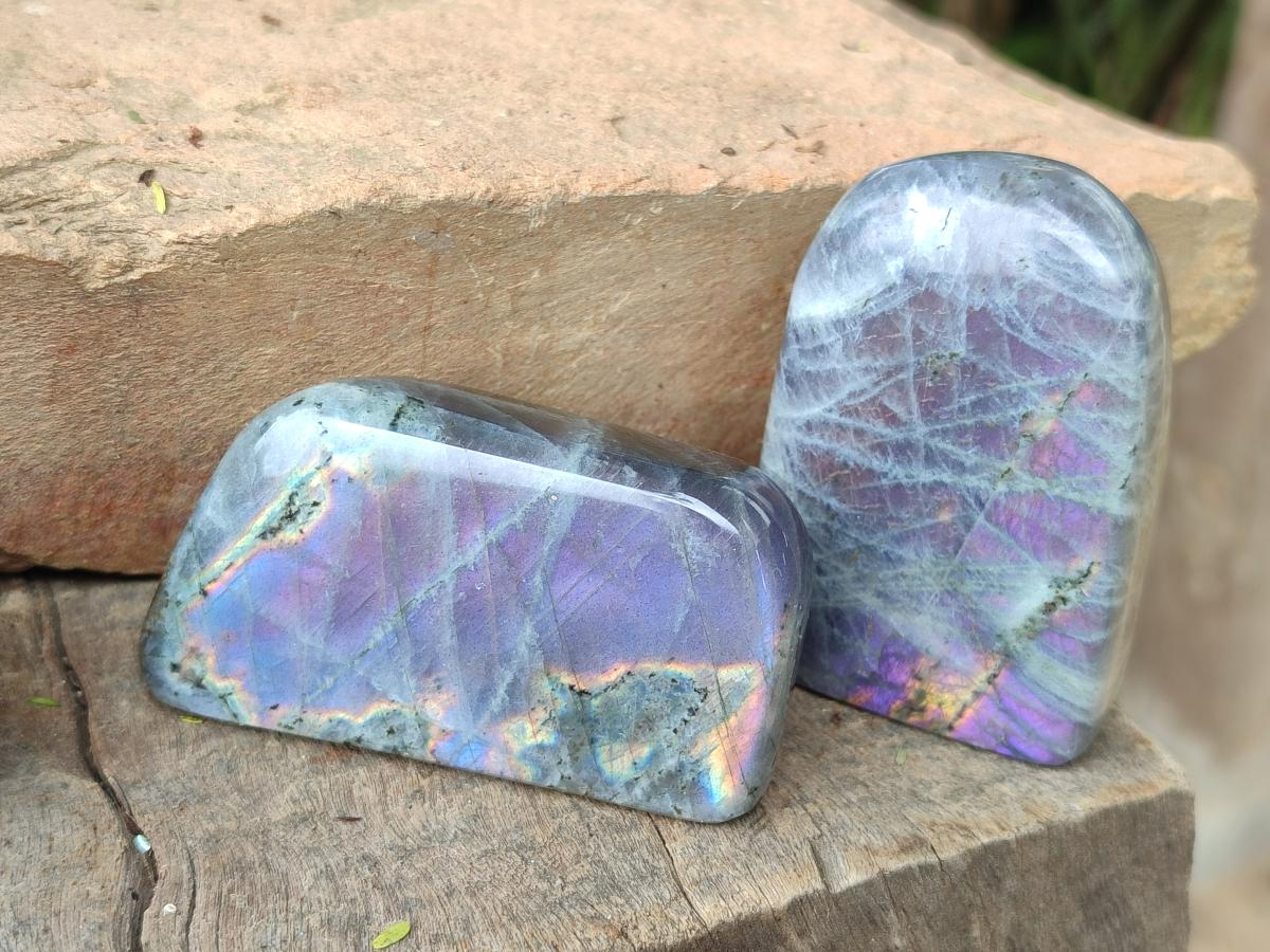 Polished Rare Purple Sunset Flash Labradorite Standing Free Forms x 7 From Madagascar - Toprock Gemstones and Minerals 