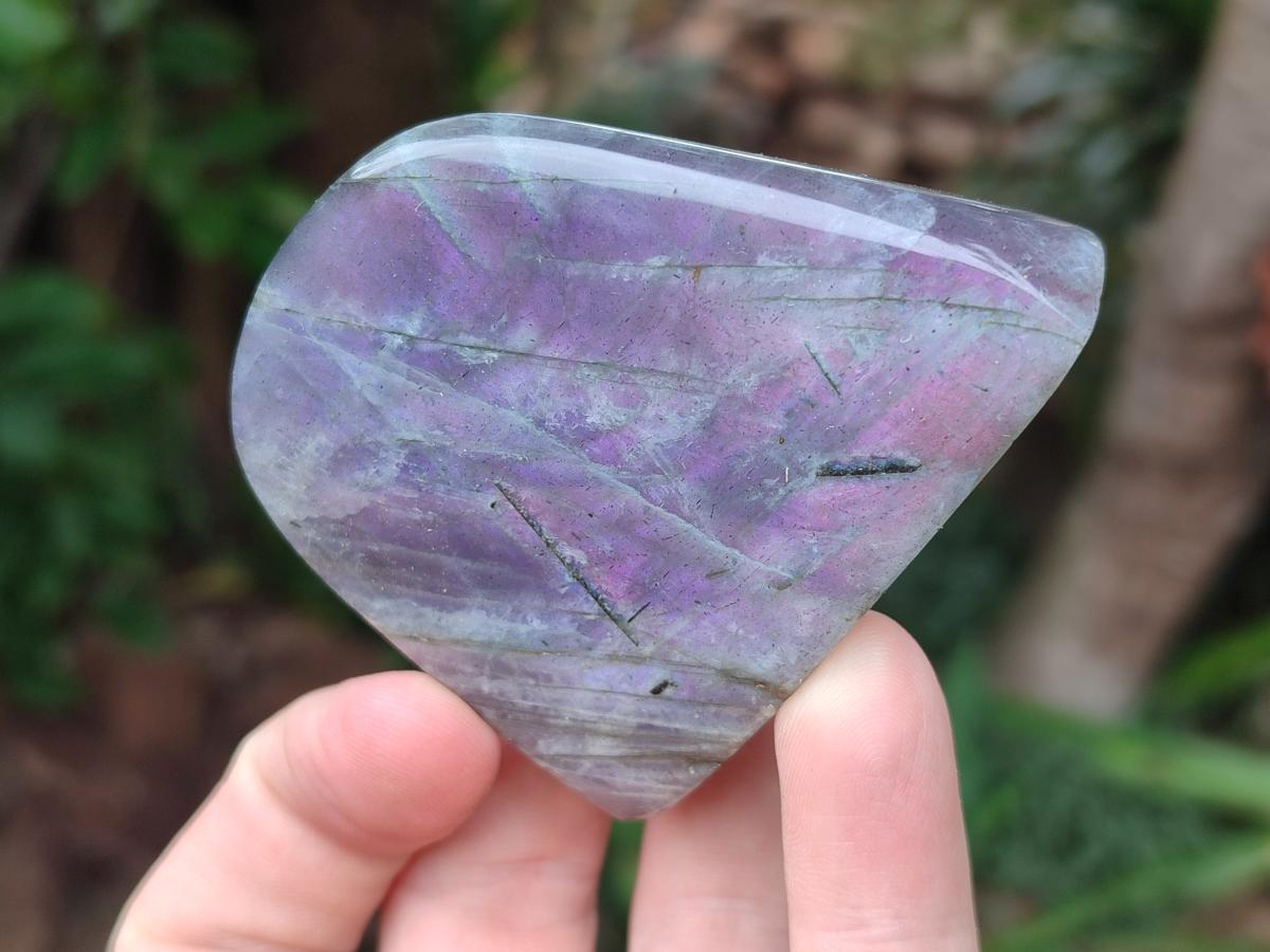 Polished Rare Purple Sunset Flash Labradorite Standing Free Forms x 7 From Madagascar - Toprock Gemstones and Minerals 