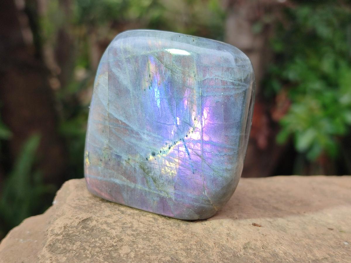 Polished Rare Purple Sunset Flash Labradorite Standing Free Forms x 7 From Madagascar - Toprock Gemstones and Minerals 