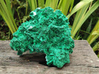Natural Large Rare Malachite Pseudomorph Specimen x 1 From Kolwezi, Congo