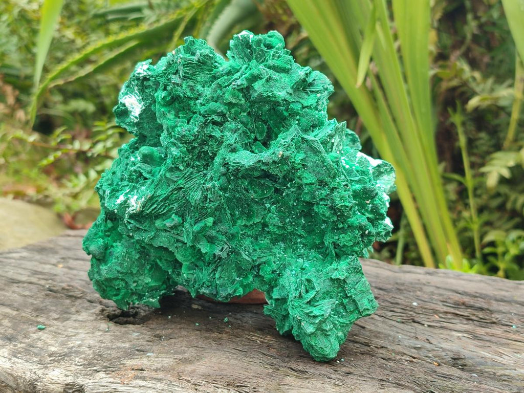 Natural Large Rare Malachite Pseudomorph Specimen x 1 From Kolwezi, Congo