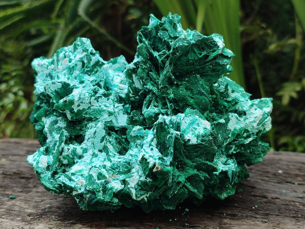 Natural Large Rare Malachite Pseudomorph Specimen x 1 From Kolwezi, Congo