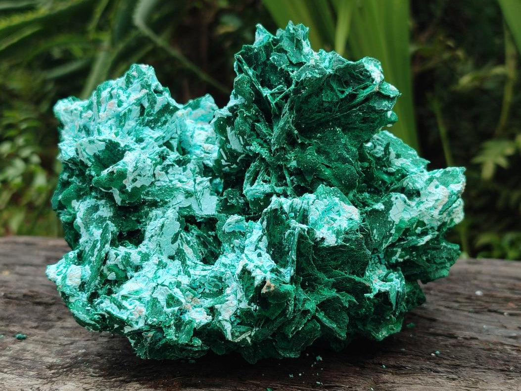 Natural Large Rare Malachite Pseudomorph Specimen x 1 From Kolwezi, Congo
