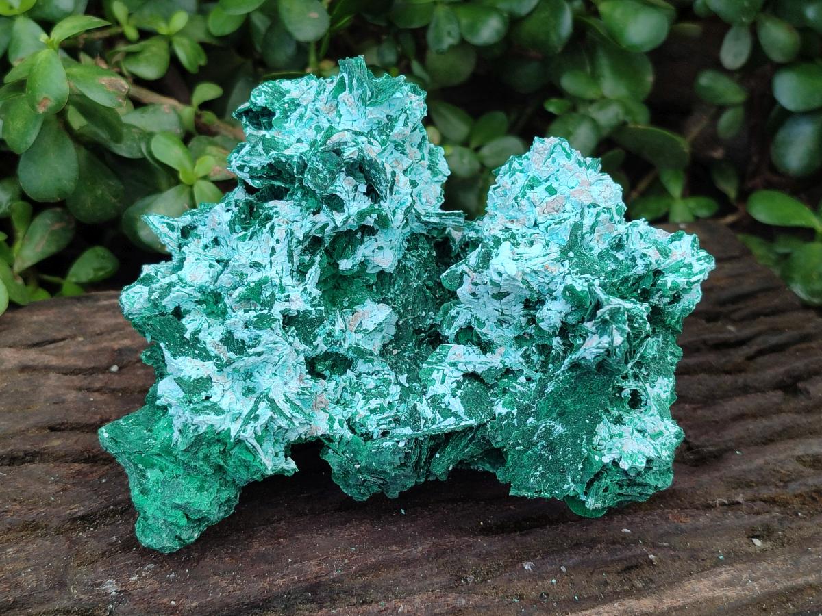 Natural Large Rare Malachite Pseudomorph Specimen x 1 From Kolwezi, Congo