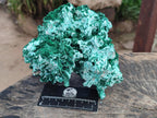 Natural Large Rare Malachite Pseudomorph Specimen x 1 From Kolwezi, Congo