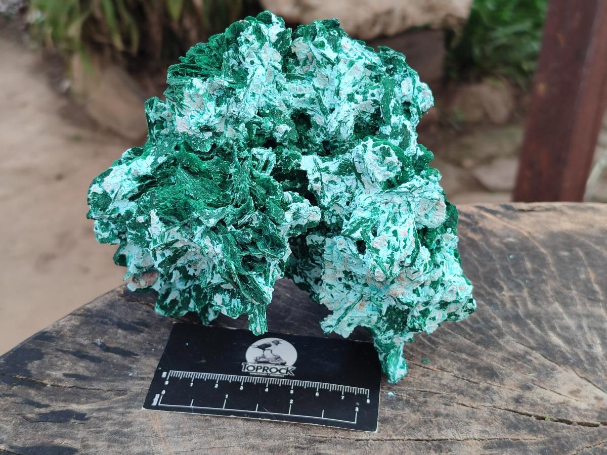 Natural Large Rare Malachite Pseudomorph Specimen x 1 From Kolwezi, Congo
