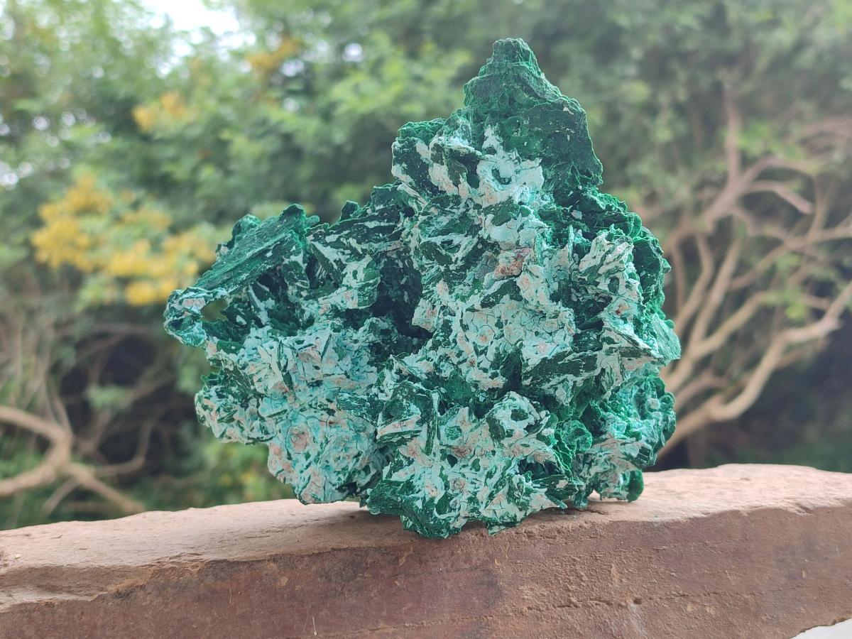 Natural Large Rare Malachite Pseudomorph Specimen x 1 From Kolwezi, Congo
