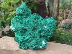 Natural Large Rare Malachite Pseudomorph Specimen x 1 From Kolwezi, Congo