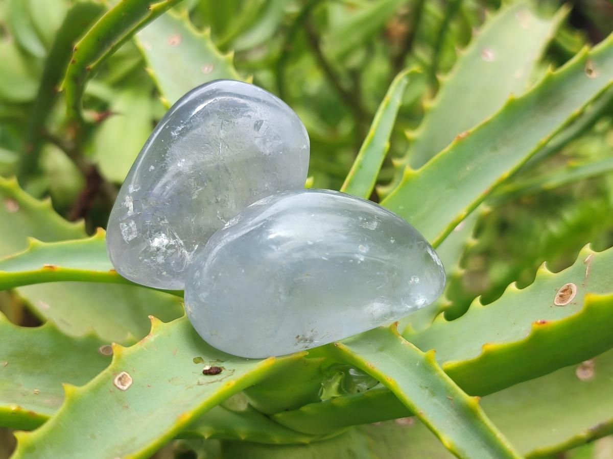 Polished Blue Celestite Free Forms x 20 From Sakoany, Madagascar