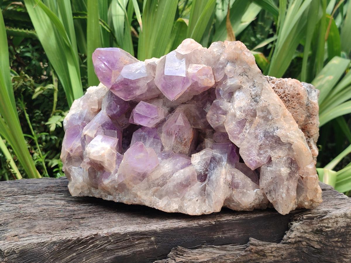 Natural XL Jacaranda Amethyst Crystal Cluster x 1 From Mumbwa, Zambia