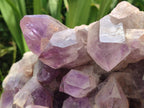Natural XL Jacaranda Amethyst Crystal Cluster x 1 From Mumbwa, Zambia