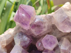 Natural XL Jacaranda Amethyst Crystal Cluster x 1 From Mumbwa, Zambia