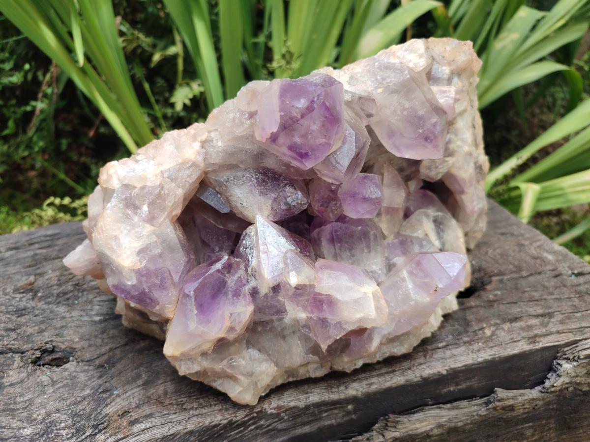 Natural XL Jacaranda Amethyst Crystal Cluster x 1 From Mumbwa, Zambia